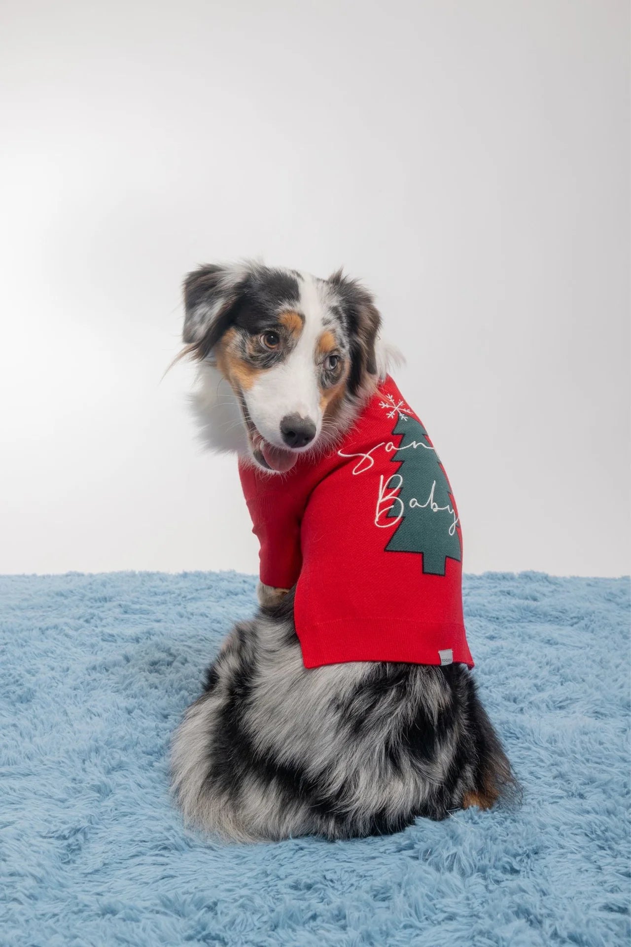 Santa Baby peysa