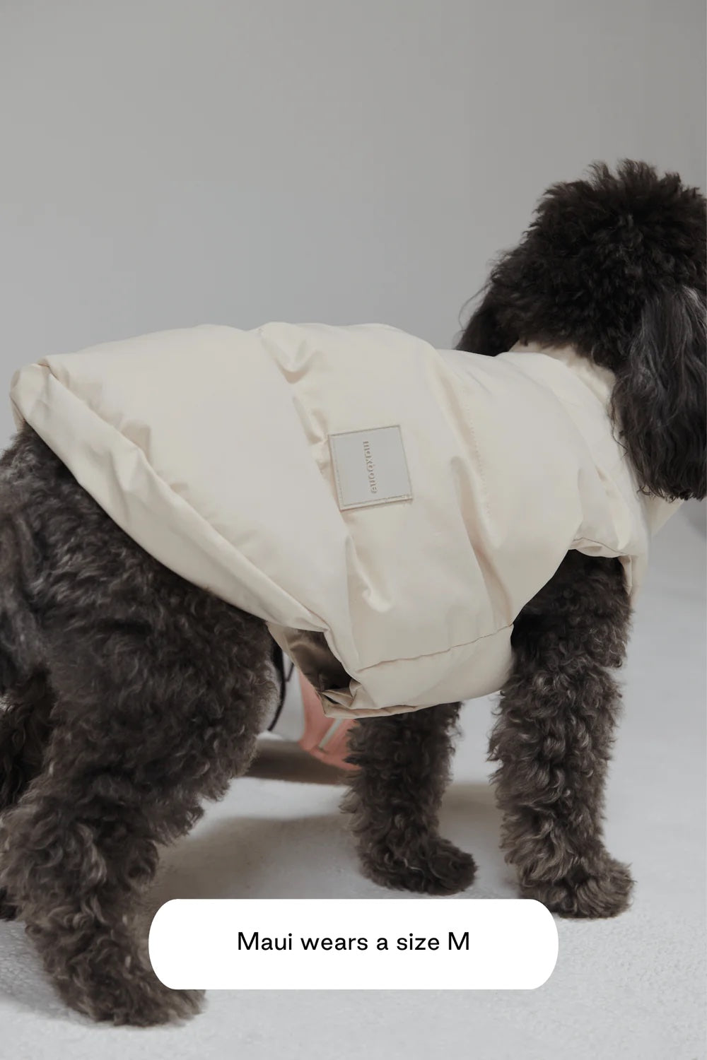 Arabella Puffer vesti