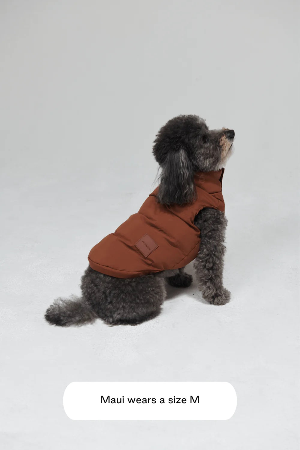 Arabella Puffer vesti