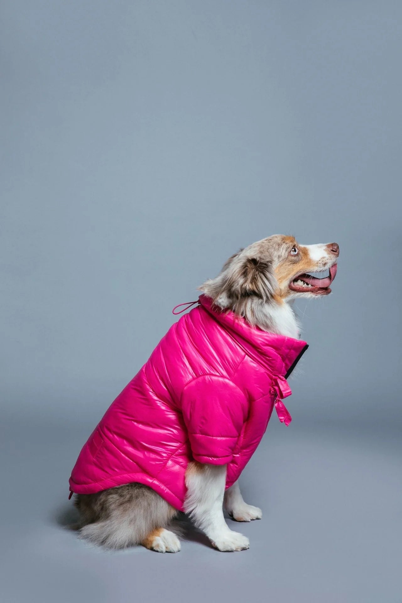 Glossy Puffer Jacket