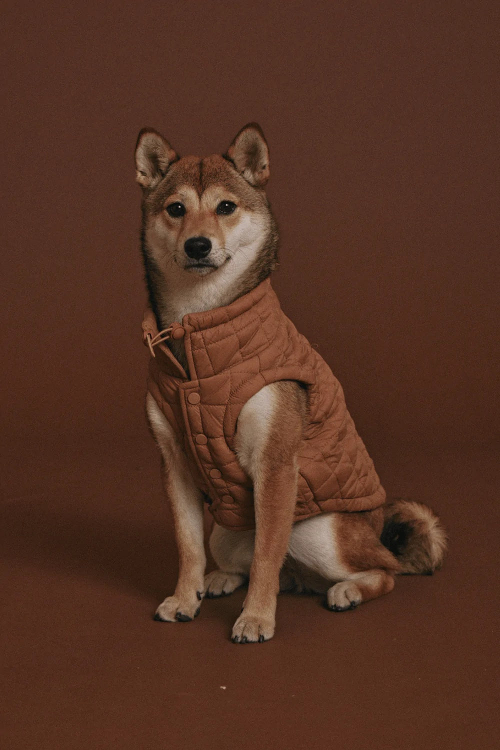 Easy fit jakki