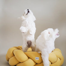 Load image into Gallery viewer, Pony Kolosony bæli yellow
